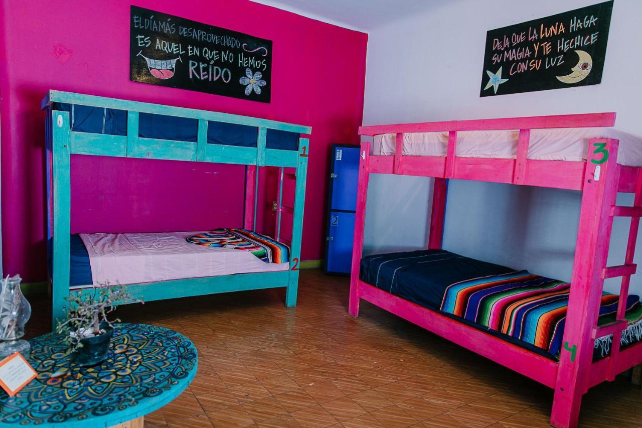 hostal chesal San Luis Potosí Exterior foto